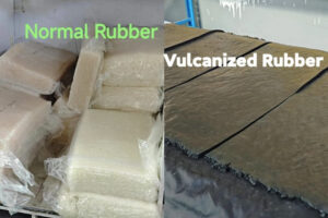 Vulcanized Rubber VS Normal Rubber