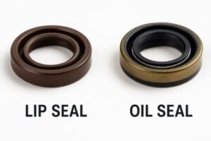 Lip seal vs oil seal, side-by-side comparison of rubber sealing rings, showing structural differences for fluid retention and dust protection.